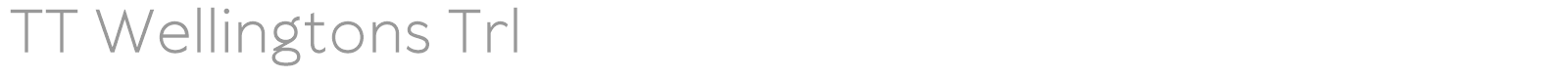 TT Wellingtons font preview